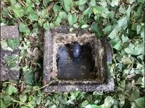 愛知県津島市｜洗濯機の排水つまり・汚れが溜まった排水桝を高圧洗浄で解消