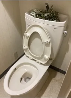 施工後