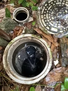 愛知県名古屋市千種区｜築50年の戸建てで排水桝のつまりを高圧洗浄で解消