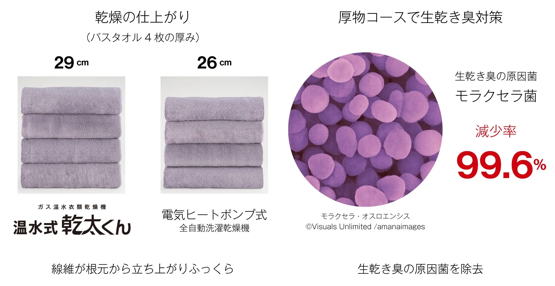 温水式乾太くん乾燥の仕上がりと菌の除去について